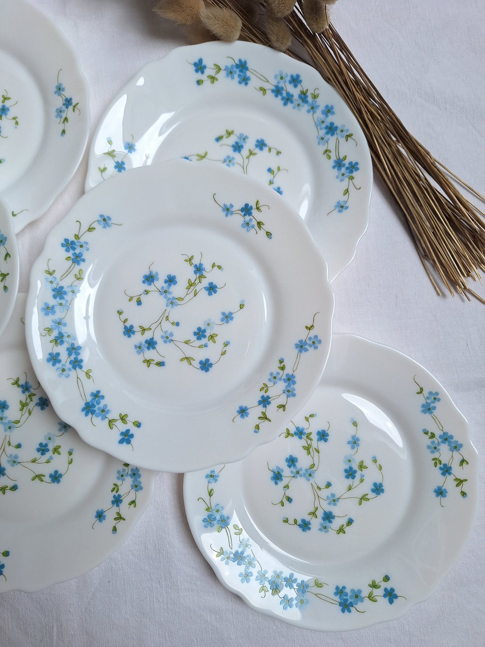 6 ASSIETTES PLATES Arcopal Véronica Vintage décor Myosotis EUR 12,00