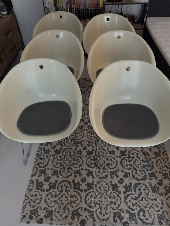 Image 1 of 6 Bucket Chairs From Pedrali Gliss Italy.