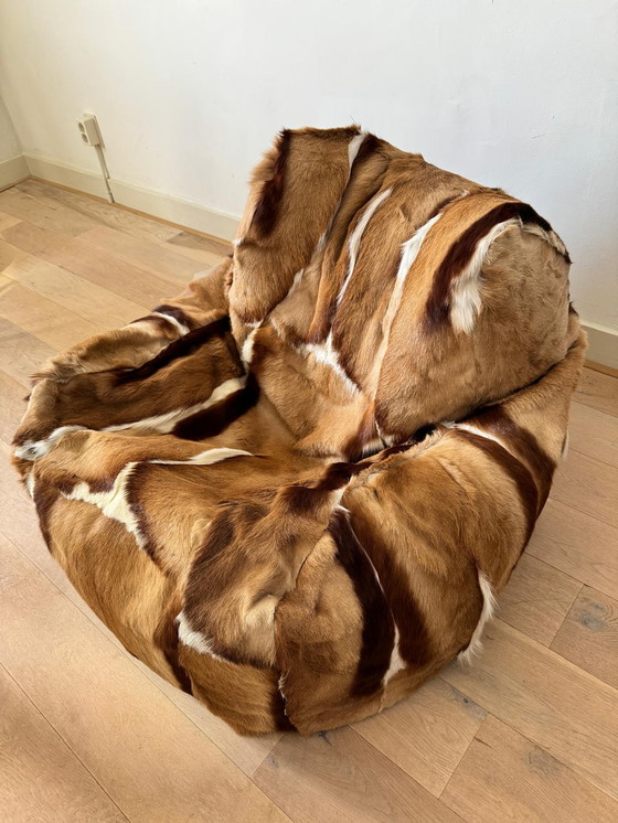 Image 1 of Springbok beanbag