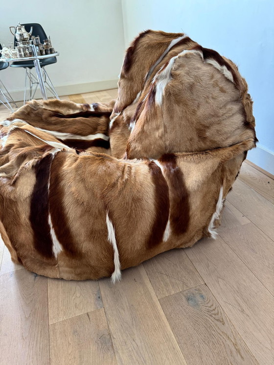 Image 1 of Springbok beanbag