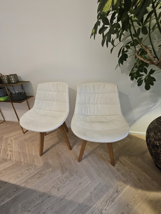 Image 1 of 4x MDF Italia Flow Chair Cadre en chêne cuir blanc