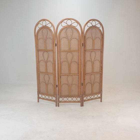 Image 1 of Italian vintage room divider in rattan and wicker, 1960s
