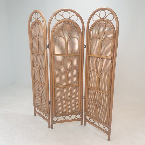 Image 1 of Italian vintage room divider in rattan and wicker, 1960s