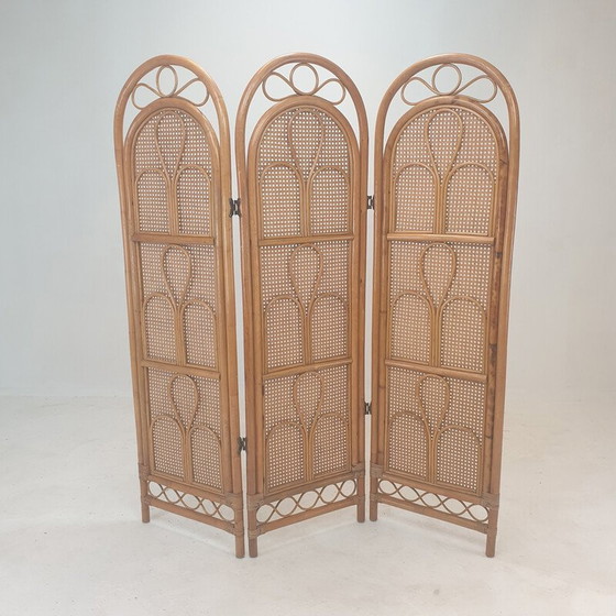 Image 1 of Italian vintage room divider in rattan and wicker, 1960s