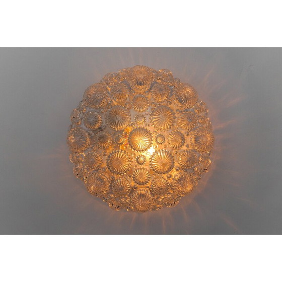 Image 1 of Vintage round ceiling lamp in glossy glass and metal in the shape of a 3D fossil shell, 1960