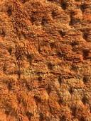 Tappeto berbero marocchino arancione in lana 