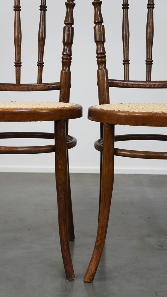 Image 1 of 4 x Thonet bistro chair with new matted seat