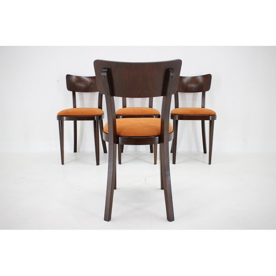 Image 1 of Set of 4 vintage dining chairs in stained beech wood, Czechoslovakia 1950