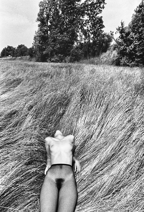 Image 1 of Michel Pinel 1949-2022 Superb Artistic Nude Photography Of Great Quality