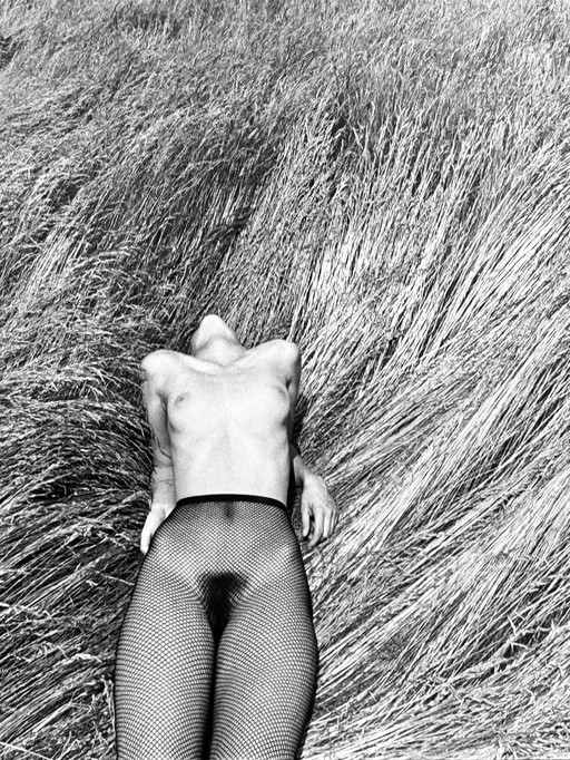 Michel Pinel 1949-2022 Superb Artistic Nude Photography Of Great Quality