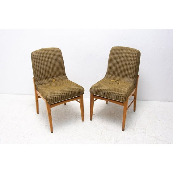 Image 1 of Pair of mid century dining chairs, Czechoslovakia 1960s