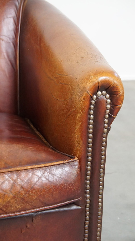 Image 1 of Sheep leather club chair