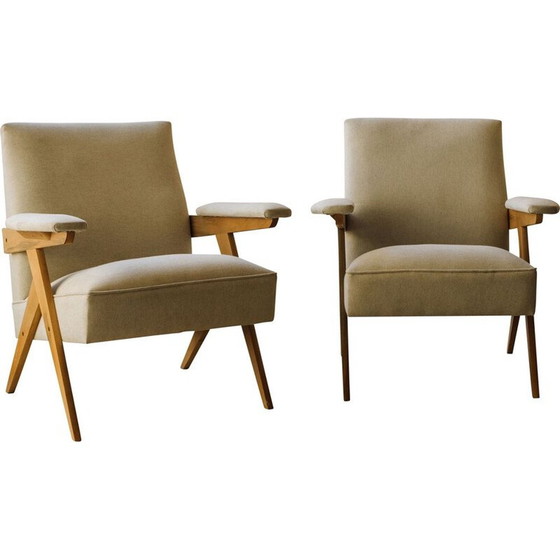Image 1 of Pair of vintage armchairs by Zanine Caldas for Movies Artisticos Z, 1950