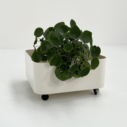 Planter On Wheels Model 4682 By Anna Castelli For Kartell, 1970S