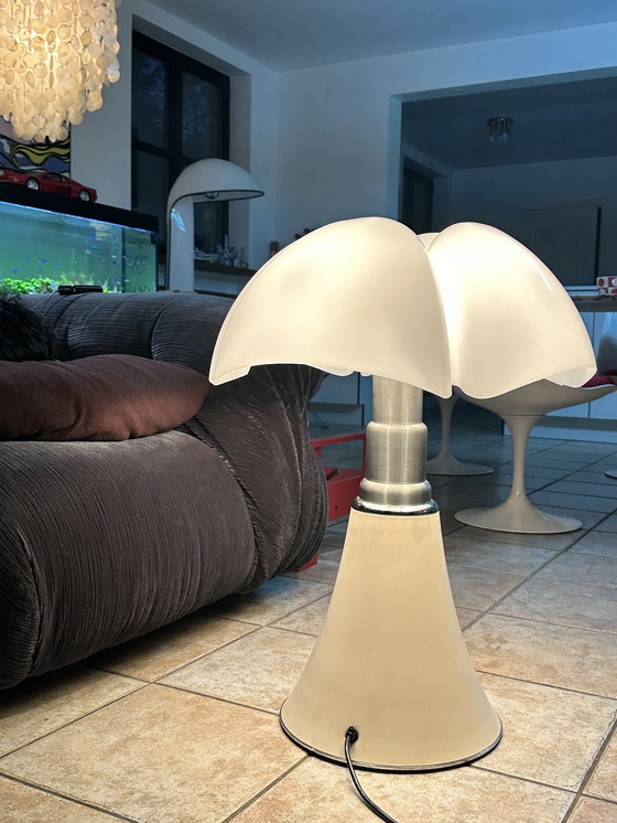 Image 1 of Gea Aulenti, Pipistrello Lamp