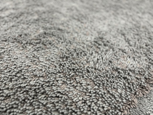 Rolf Benz Erba Rug gray 170x240