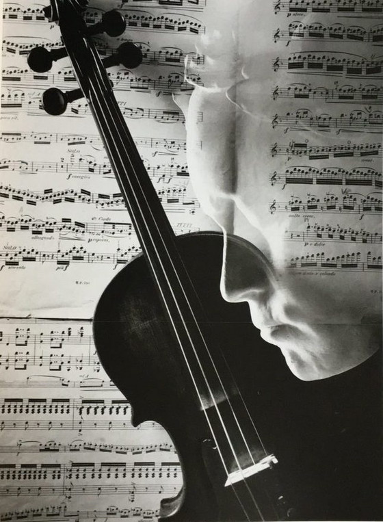 Image 1 of Steef Zoetmulder - Beethoven