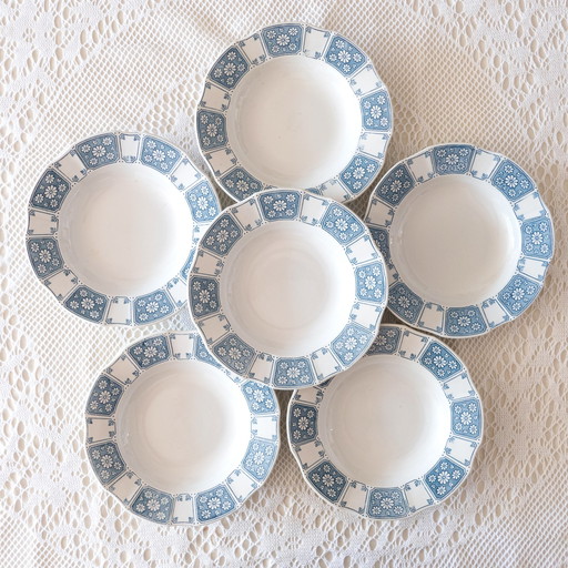 6 Grandes Assiettes Anciennes Terre De Fer Villeroy & Boch