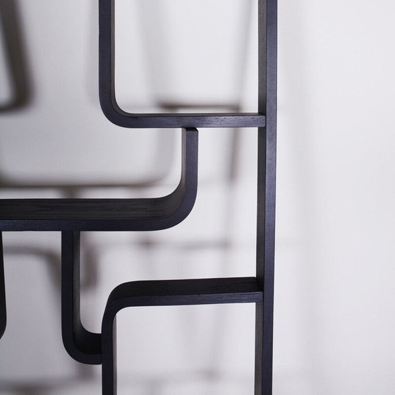 Image 1 of Vintage rounded corner black claustra by Volak for Drevopodnik Holesov, 1960s