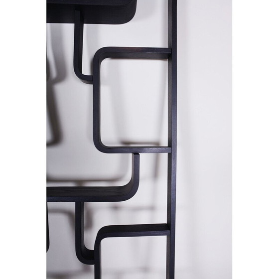 Image 1 of Vintage rounded corner black claustra by Volak for Drevopodnik Holesov, 1960s
