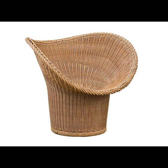 Image 1 of Vintage E20 wicker armchair by Egon Eiermann for Heinrich Murmann