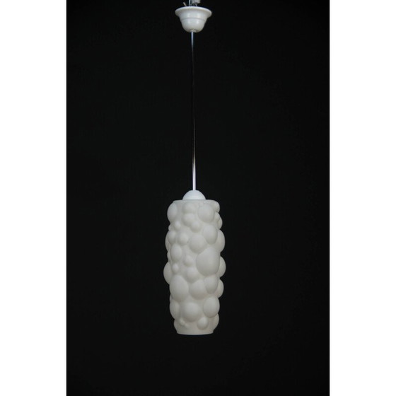 Image 1 of Vintage organic hanging lamp 1960s