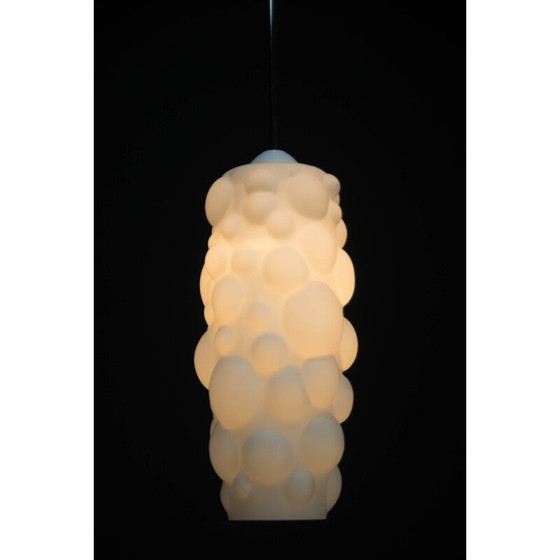 Image 1 of Vintage organic hanging lamp 1960s