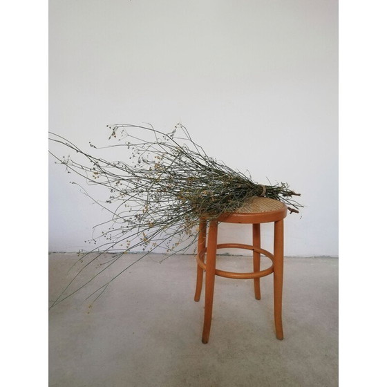 Image 1 of Vintage Viennese wood and straw stool