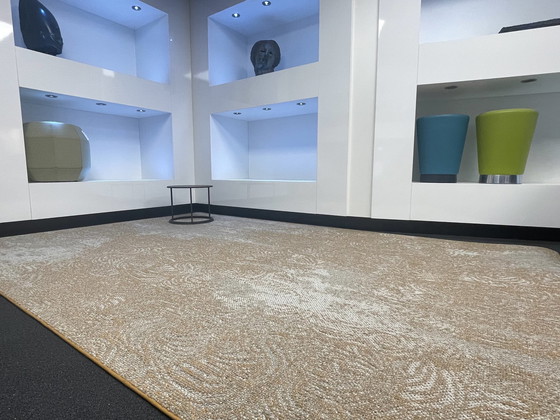 Image 1 of Desso Silhouettes Carpet Curve 2X3 New