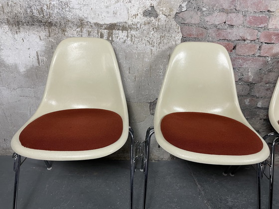 Image 1 of 4x Vitra Herman Miller DSS fiberglass chair by Charles & Ray Eames