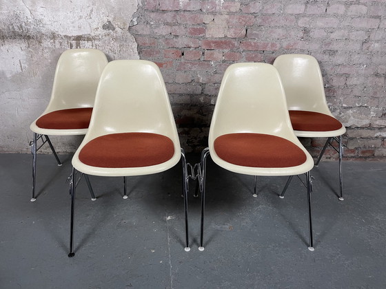 Image 1 of 4x Vitra Herman Miller DSS fiberglass chair by Charles & Ray Eames