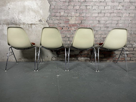 Image 1 of 4x Vitra Herman Miller DSS fiberglass chair by Charles & Ray Eames