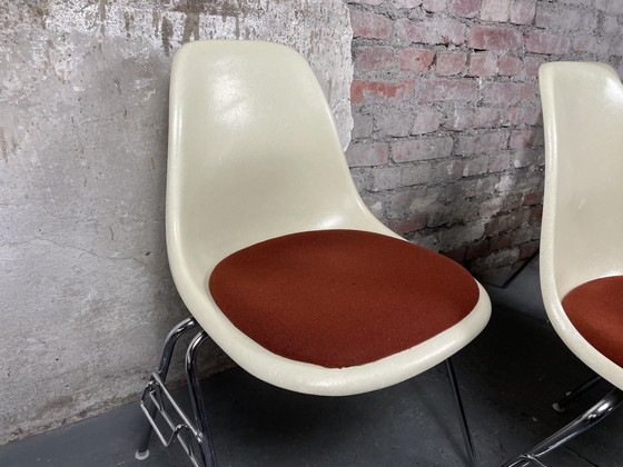 Image 1 of 4x Vitra Herman Miller DSS chaise en fibre de verre de Charles & Ray Eames