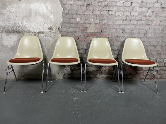 Image 1 of 4x Vitra Herman Miller DSS fiberglass chair by Charles & Ray Eames