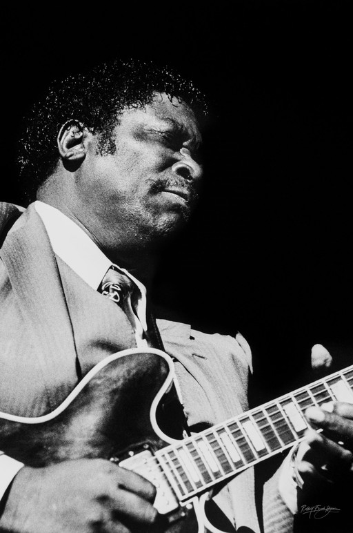 Bb King - The King Of The Blues |1986 | 5/25