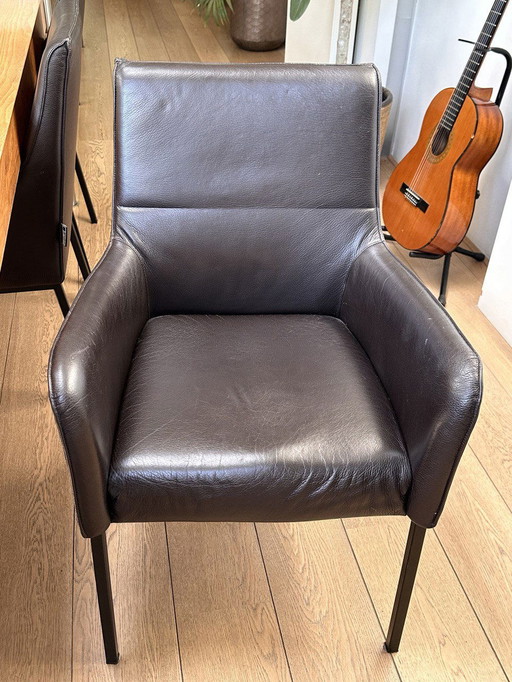 8x Linteloo Giulietta Dining Chair