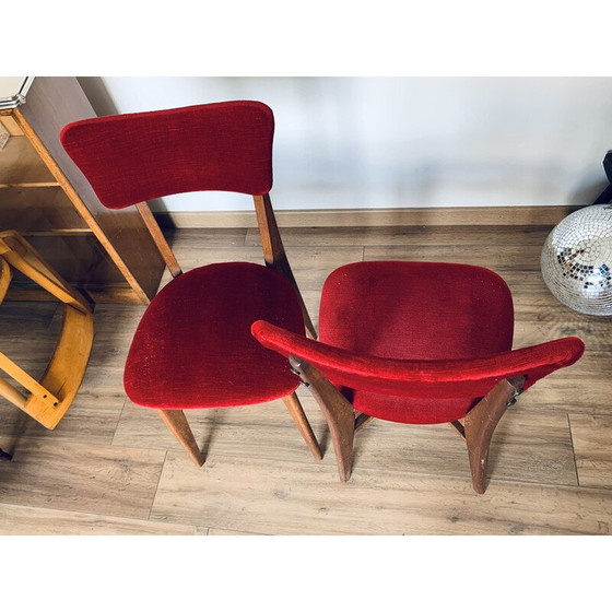 Image 1 of Pair of vintage red velvet and wood chairs, 1960