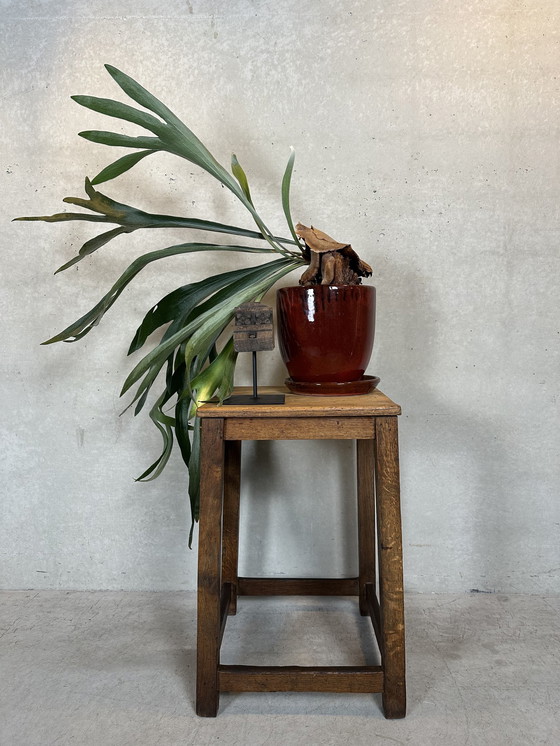 Image 1 of Brutalist Side or Plant Table - Oak