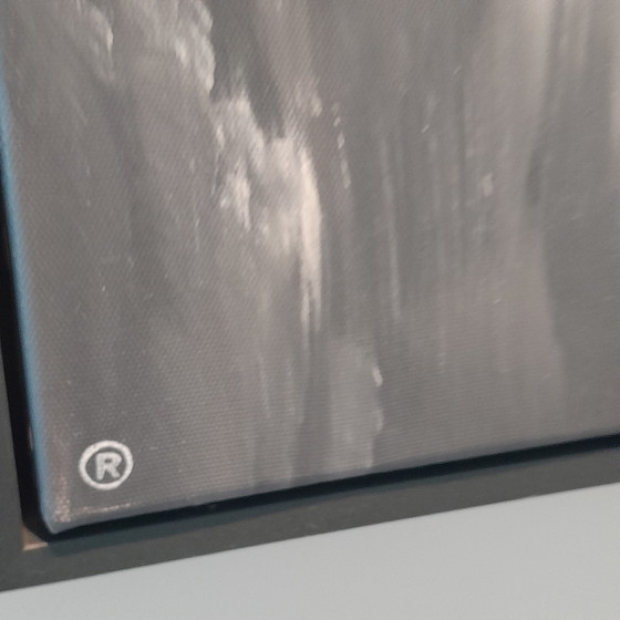 Image 1 of Reinardus Original Work