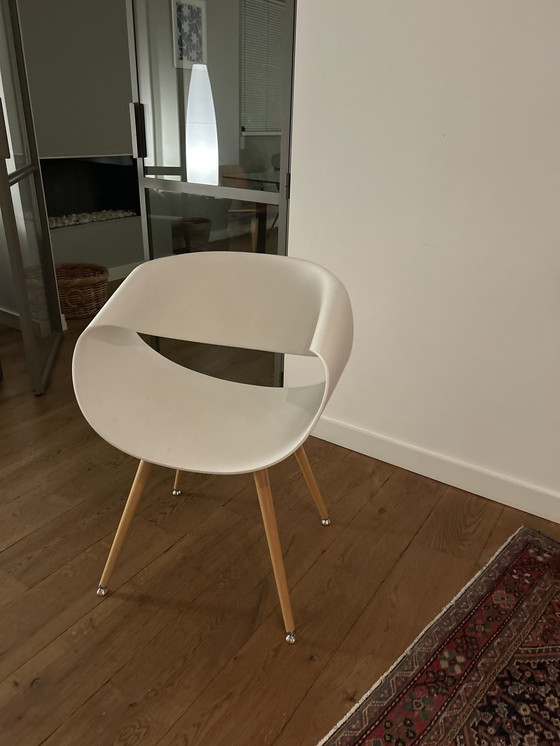 Image 1 of 1X Zuco Little Perillo Chair