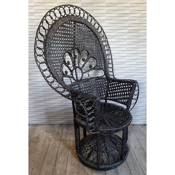 Image 1 of Vintage Emmanuelle rattan armchair, 1970