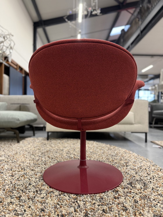 Image 1 of Sillón Artifort Tulip Midi Rojo Selecte 580 Tejido