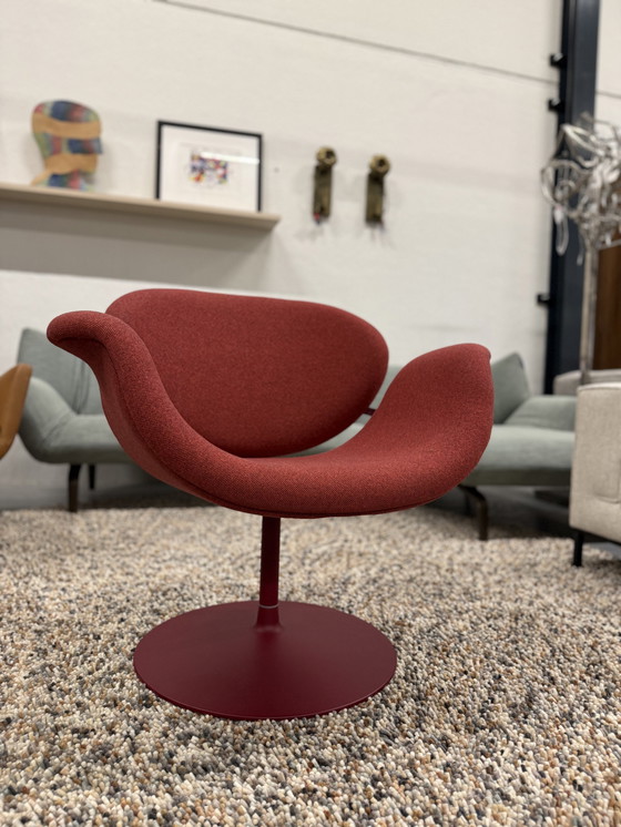 Image 1 of Sillón Artifort Tulip Midi Rojo Selecte 580 Tejido