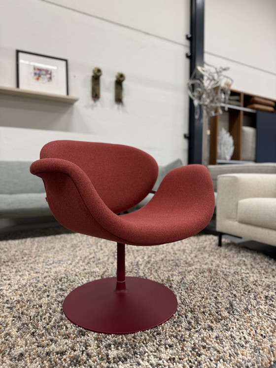 Image 1 of Sillón Artifort Tulip Midi Rojo Selecte 580 Tejido