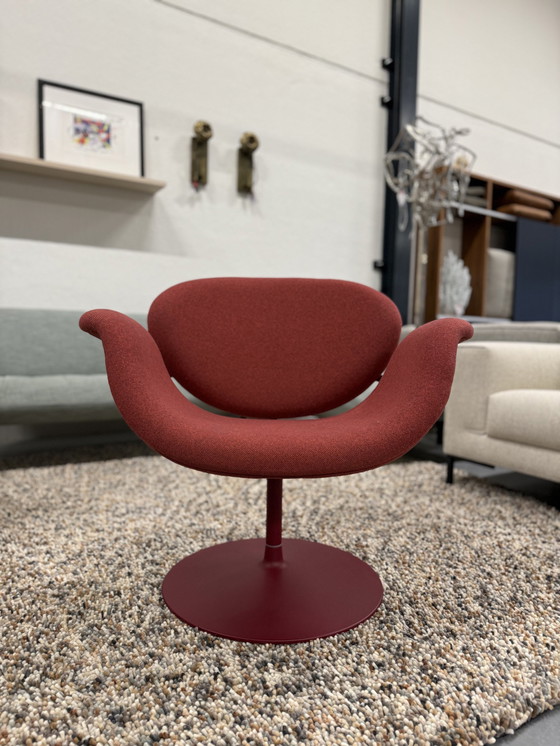 Image 1 of Sillón Artifort Tulip Midi Rojo Selecte 580 Tejido