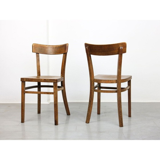 Image 1 of Coppia di sedie da pranzo Thonet vintage