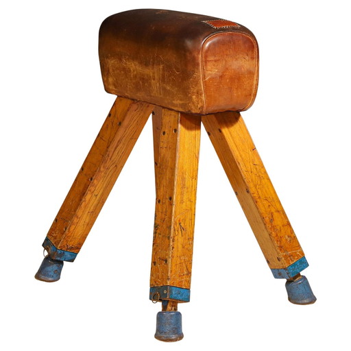 Gymnastic Leather Pommel Horse, Czechoslovakia, 1950’S