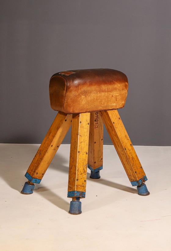 Image 1 of Gymnastic Leather Pommel Horse, Czechoslovakia, 1950’S