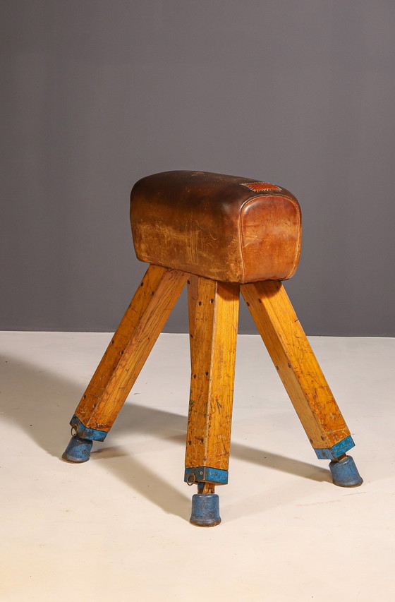 Image 1 of Gymnastic Leather Pommel Horse, Czechoslovakia, 1950’S