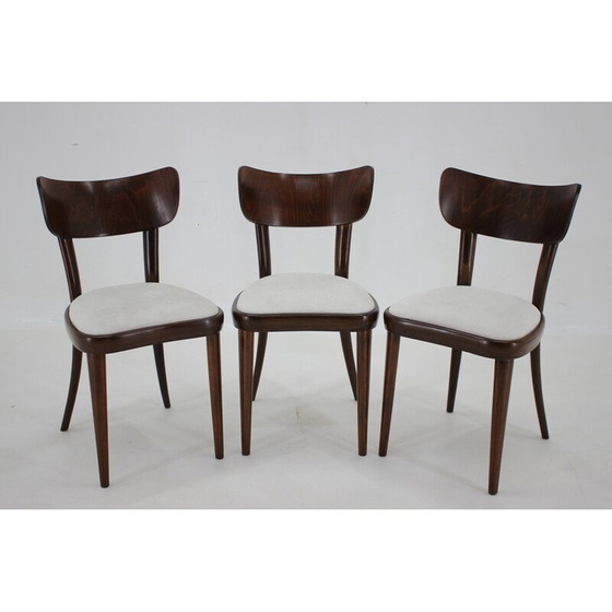 Image 1 of Set di 3 sedie da pranzo vintage in faggio, Cecoslovacchia 1950